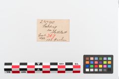 Etiketten zu Perlenkette (NHMW-PRAE-024790)